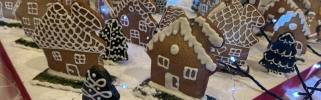 Ovde sneg ima ukus šećera: Jedinstveno selo u Banatu (VIDEO)