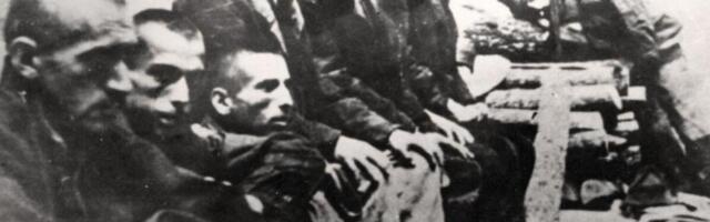 "VAŠKE GA IZJELE DO SMRTI, A KAD SU GA GROBARI VIDELI I USTAŠAMA SE ŽELUDAC": Scena iz Jasenovca da vam pozli!