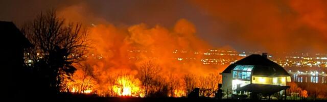 Drama kod Beočina: Vatra zahvatila drveće i širi se ka naselju, policija blokirala prilaze