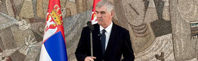 Delegacija Srbije predstavila izveštaj o ukidanju rasne diskriminacije na zasedanju u Ženevi