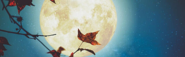 VEČERAS JE PUN MESEC U RAKU Ova četiri znaka čekaju haos, raskidi i veliki problemi