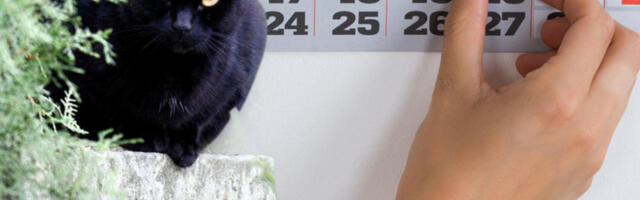 PAZITE SE,  SUTRA JE PETAK 13. Najveći udar osetiće 3 znaka - svađe, razlazi, gubitak novca