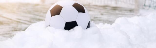 Mećava odložila utakmicu Superlige Srbije: Sneg ZATRPAO stadion