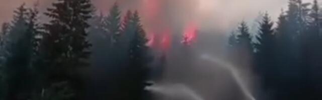 Vatrena stihija kod Prijepolja: Vatra se proširila iz Crne Gore, situacija kritična! (VIDEO)