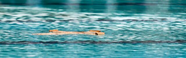 Bogojavljensko plivanje u Nišu – u bazen ulaze takmičari od 18 do 60 godina