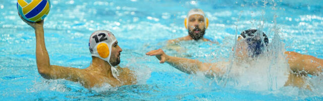 Spektakl u Kragujevcu: čak 11 „zlatnih delfina“ u bazenu