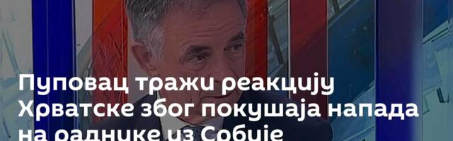 Пуповац тражи реакцију Хрватске због покушаја напада на раднике из Србије