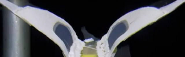 Kineski naučnici pokorili dno sveta i spustili robota u Marijanski rov