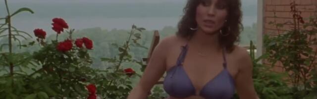 (FOTO) Njene obnažene grudi je videla cela Jugoslavija: Stekla popularnost u "Žikinoj dinastiji", a danas je neprepoznatljiva