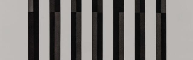 Izložba „Anatomija površine” Jasne Gulan Ružić u niškoj galeriji Art55