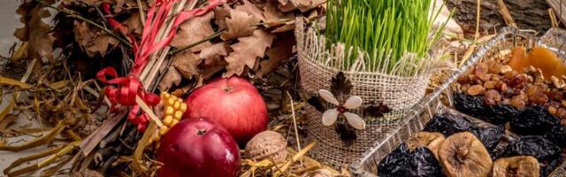 Badnjak i riba samo za bogate: Cene šokiraju kupce!