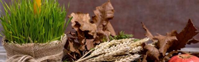 Danas se slavi Mali Božić: Obavezno ispoštujte ove običaje, jedan je posebno VAŽAN