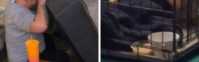 Kupio kauč od kolege sa posla: Nije mogao da veruje šta je pronašao unutra - ovo je mnogo vrednije