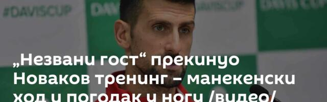 „Незвани гост“ прекинуо Новаков тренинг – манекенски ход и погодак у ногу /видео/