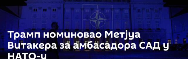 Трамп номиновао Метјуа Витакера за амбасадора САД у НАТО-у