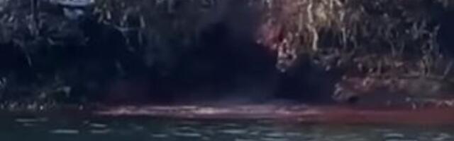 Dokaz da nadležni lažu da je Drina crvena zbog snaga (VIDEO)
