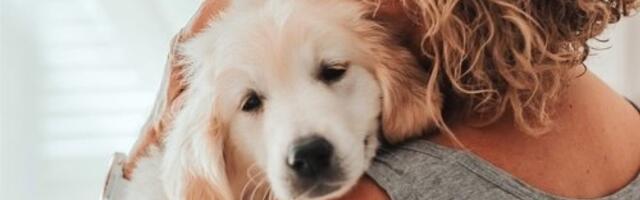 Veterinar upozorio vlasnike pasa! 3 greške koje se često prave, a samo štete vašim ljubimcima (VIDEO)