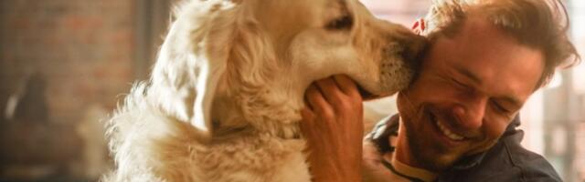 Snimak koji je rasplakao internet: Pogledajte kako udomljeni pas dočekuje vlasnika (VIDEO)