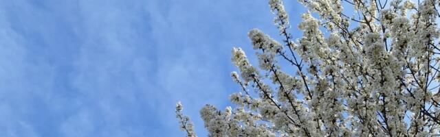 Zašto proleće nije svima omiljeno godišnje doba: Umor kao dijagnoza koju društvo ne priznaje, a telo pati i jedva funkcioniše