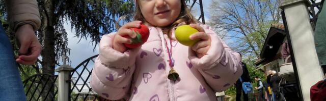 Berite cveće, ali ga nikako ne unosite u kuću! Koje sve običaje skriva VRBICA, ovo je jako važno i veliki je greh!