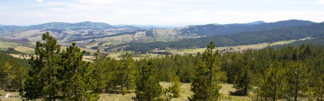 Samo 120 km od Beograda krije se mesto gde ćete se preporoditi za jedan vikend: Savršena destinacija za 1. maj