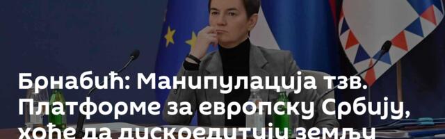 Брнабић: Манипулација тзв. Платформе за европску Србију, хоће да дискредитују земљу