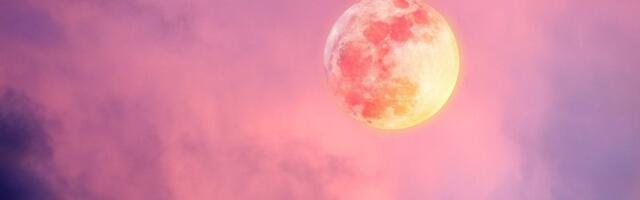 Sutra tačno u 1.48 časova stiže neverovatan događaj! Ružičasti pun Mesec u Škorpiji menja sudbinu 4 horoskopska znaka