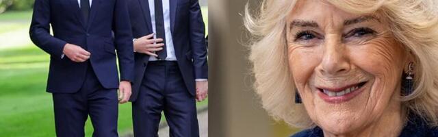 KAMILA TRPELA BRUTALNO VERBALNO ZLOSTAVLJANJE: Vilijam i Hari maćehi pravili pakao od života, otkriveno kakvim imenima su je sve nazivali