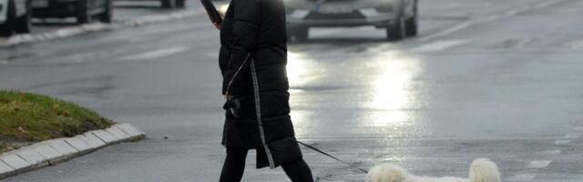 AMSS: Kamioni na prelazu Batrovci čekaju pet sati