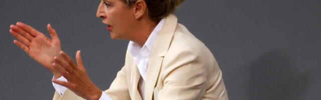 Вајдел: Мерц је главна безбедносна претња Немачкој