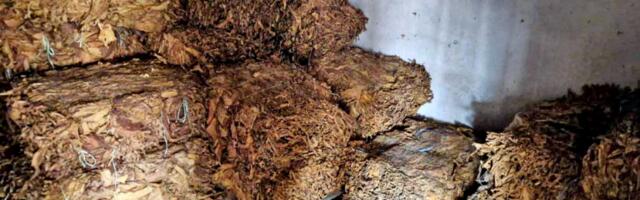 Razbijen lanac ilegalne trgovine duvanom: Zaplenjeno preko 1,5 tone na Fruškoj Gori