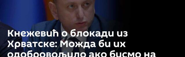 Кнежевић о блокади из Хрватске: Можда би их одобровољило ако бисмо на небу исписали „За дом спремни“