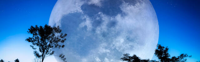 VELIKI NEDELJNI HOROSKOP Lav ulazi u nepotrebne svađe na poslu, Devica ima šansu za veći novac, Škorpiju čeka emotivni krah