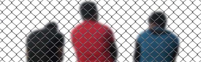Uhapšena trojica Zrenjaninaca: Pokušali u kombiju da prokrijumčare 37 migranata