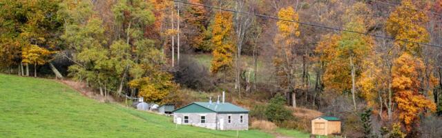 Čovek je stigao do vikendice, a onda je video prizor koji ga je sledio: Ljudi su masovno počeli ovo da rade, oprez!