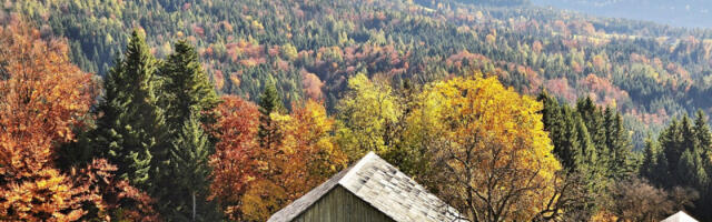 Ujutru ponovo mraz i magla, ali onda sunčan dan: Topli vazduh je tu, pa će temperatura biti i 13 stepeni