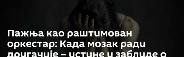Пажња као раштимован оркестар: Када мозак ради другачије – истине и заблуде о АДХД-у /видео/