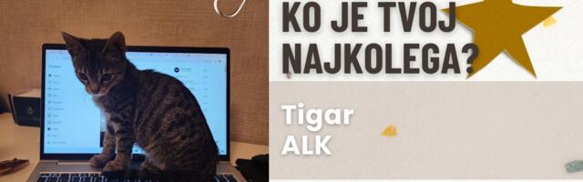 NAJKolega: Tigar, ALK