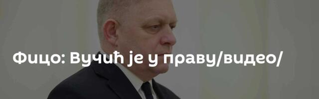 Фицо: Вучић је у праву/видео/