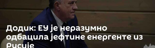 Додик: ЕУ је неразумно одбацила јефтине енергенте из Русије