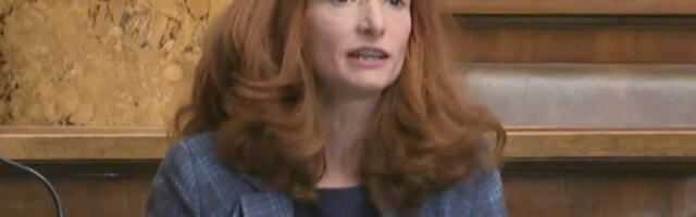 Биљана Ђорђевић: Није нам у интересу усвајање европских закона