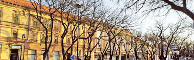 Знамените Суботичанке или како је почео феминизам у Суботици