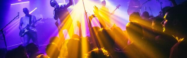 Kultni Pips, Chips & Videoclips prvi put u BitefArtCafe-u: Dečija radost na ivici apsurda