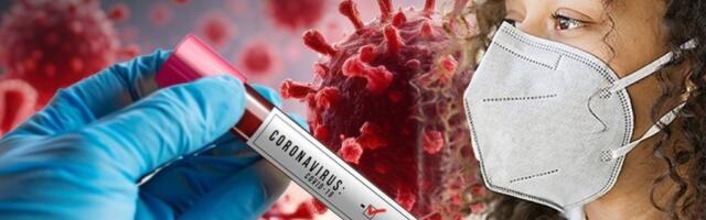 HARA NOVI SOJ KORONE! Ovaj je mnogo gori nego prethodni - dugo miruje, a onda NAGLO NAPADA - ovo su simptomi!