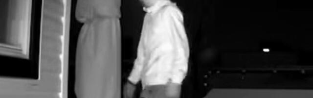 Postavila kameru u dvorište zbog rakuna, pa se zaprepastila: Ovaj prizor nikada neće zaboraviti!