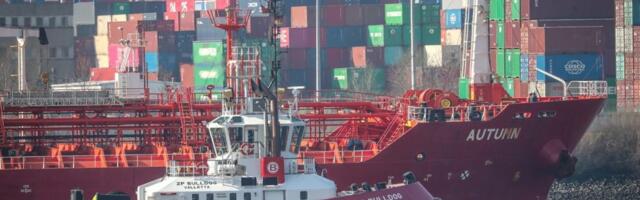 Nemački minijaturni rast – ide stezanje kaiša?