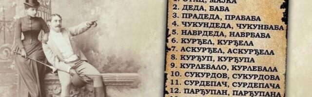 Zet, snaja, zaova, jetrva: Kako su nastali nazivi za rodbinu?