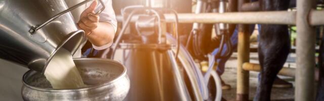 Mlekari i danas blokiraju više puteva u Srbiji: Na ovim lokacijama najavljena totalna blokada