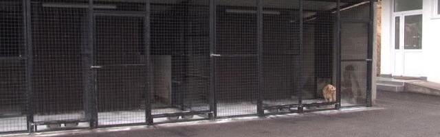 MEMIĆ PRIZNAO – Zahvaljući politici SPP riješili smo problem pasa lutalica u Pazaru