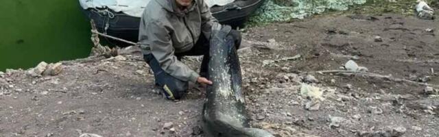 GOROSTAS IZVUČEN IZ UVAČKOG JEZERA, OVAJ PRIZOR SE NE VIĐA SVAKI DAN! Otac i sin sat vremena vodili borbu sa zveri